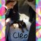 Benvenuta Cleo!